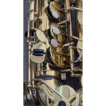 Sax Alto Yanagisawa Prima Laqueado